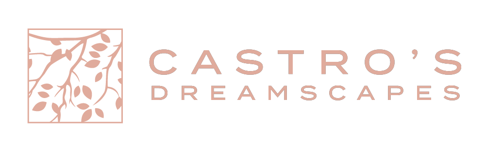 Castro's Dreamscape